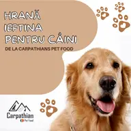 Hrană ieftină pentru câini - Carpathians Pet Food