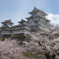 Cele mai frumoase temple din Japonia și cum să le vizitezi?