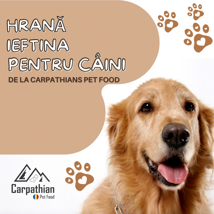Hrană ieftină pentru câini - Carpathians Pet Food