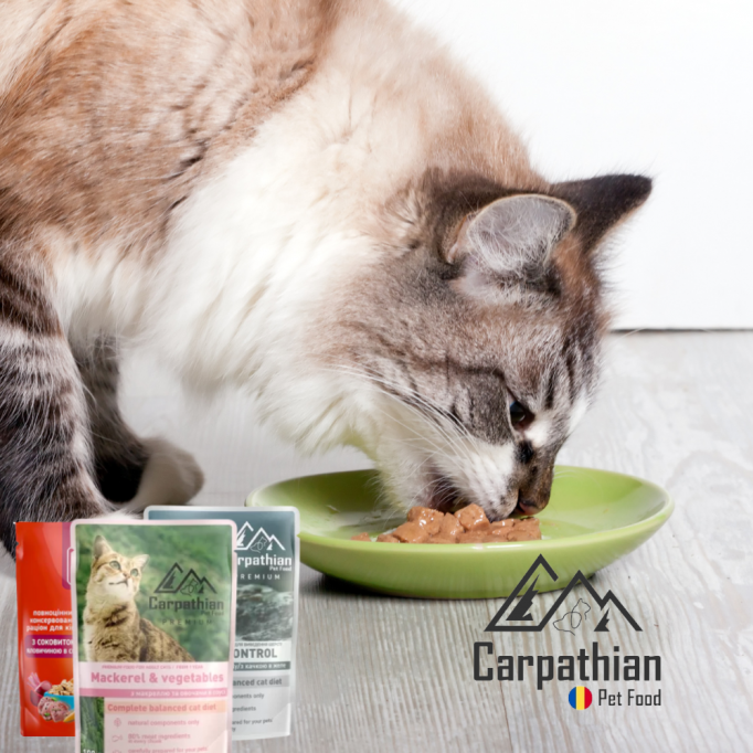 Mâncare umedă pentru pisici- ieftină și de calitate superioară