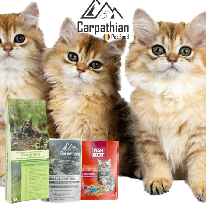Hrana pentru pisici - Carpathians Pet Food