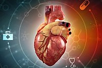 Anatomie și fiziologie cardiacă